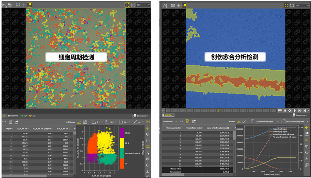 中国·太阳集团0638(股份)有限公司-官方网站